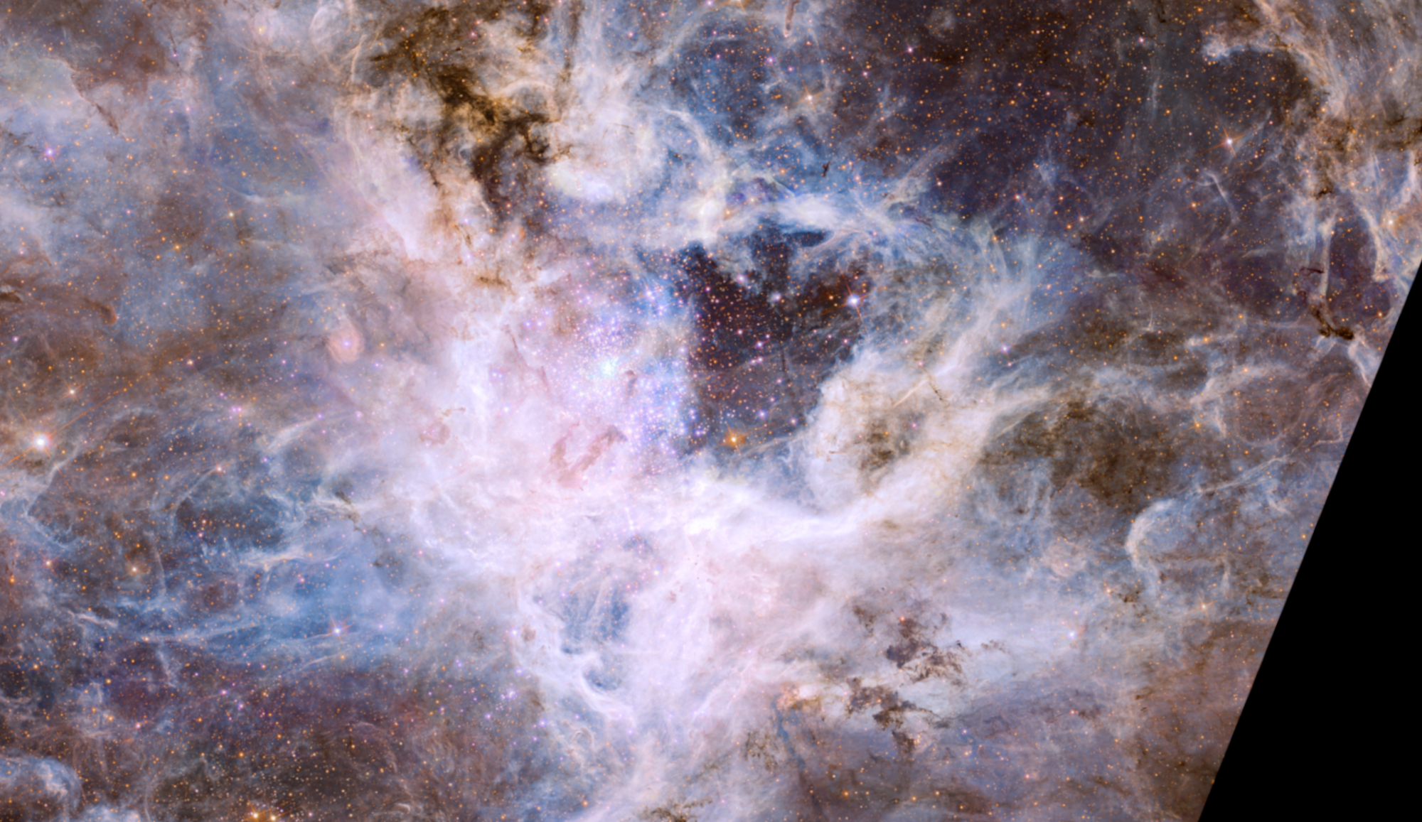 Hubble's Tarantula Nebula